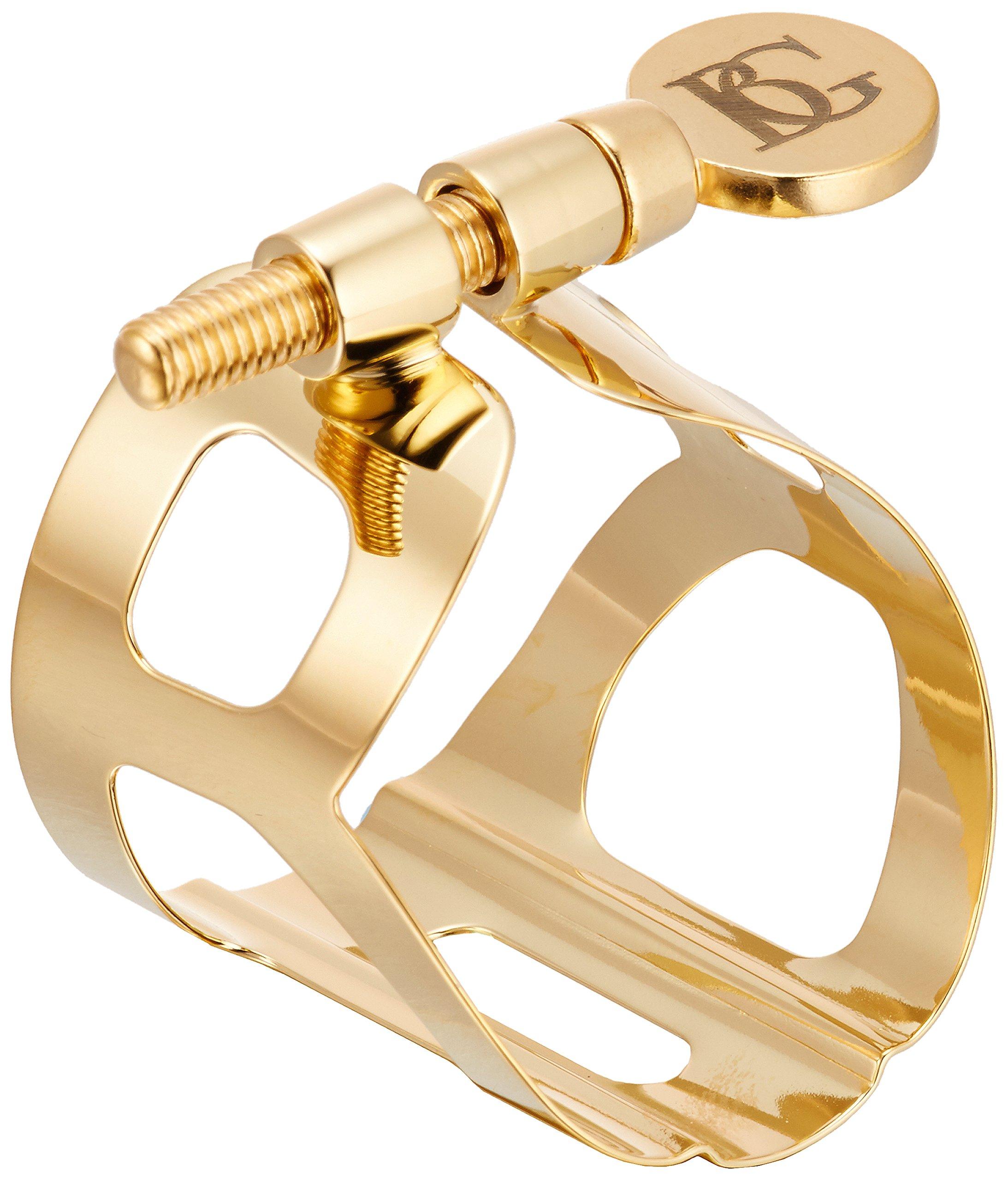 

BG(0002698761) Accordion Accessory (L11BG)