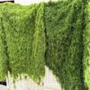 Moss Lawn Greening Preserved Water Moss for Landscaping, Aquaterrariums, Living Walls, and Bonsai Substrate