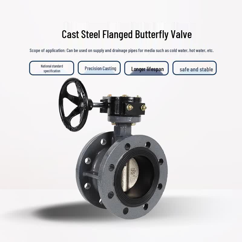 Iron Curtain Cloud D341X-16C Butterfly Valve DN80