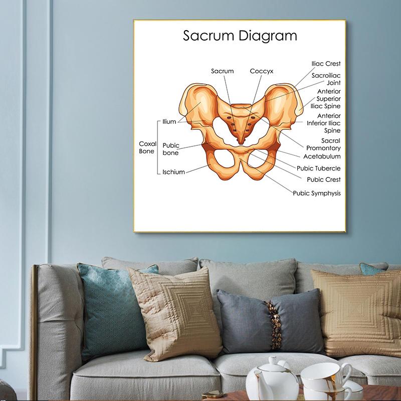 Human Organs Brain Liver Heart Anatomy Poster Print Canvas Painting Human Body Map Medical Classroom Office Room Home Decoration