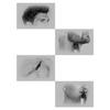Tondeuse multifonction - REMINGTON - PG5000 Series G5 - 90 min - Graphite