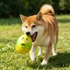 Pet Toy Built-in Airbag Sound Effect Chewing Toy with Bird Design Elastic Rubber Interactive Toy for Dogs