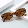JYL TS Cat Eye Sunglasses  Style UV Protection For Beach B5514