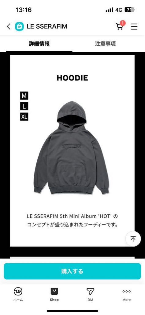 [USED] Le sserafim foodie hoodie