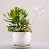 Tulip Automatic Drip Waterer for Potted Plants and Roses