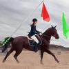 Pferdetrainingsflaggen mit Teleskop-Fahnenmast Reiseleiter-Fahnenmast-Set Tragbare Reitausrüstung Leuchtende Farben