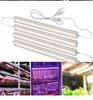 Full Spectrum LED Grow Light for Seedlings, Flowers, Vegetables, and Succulents