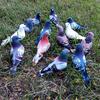 1PC Artificial Feather Bird Simulation Foam Pigeon Model Fake Animal Home Garden Ornament Miniature Decoration Home Decoration