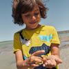 Children's Glow-in-the-Dark Shark Print Summer T-Shirt 2026