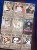 One Piece Wanted Poster Popular and Gift ONE PIECE Stickers, 55-Piece Set, Cool, Stickers, [Used]