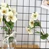 Artificial Flower No-Maintenance Long-Lasting Beauty Realistic Petals Leaf Texture Flexible Branches High Simulation Flower Home Decor