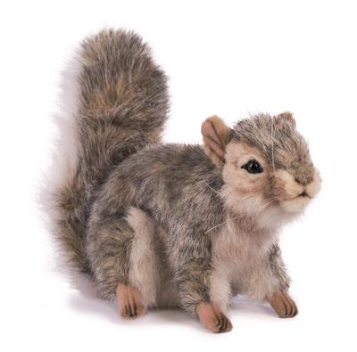 BH4840 HANSA Grey Squirrel 22