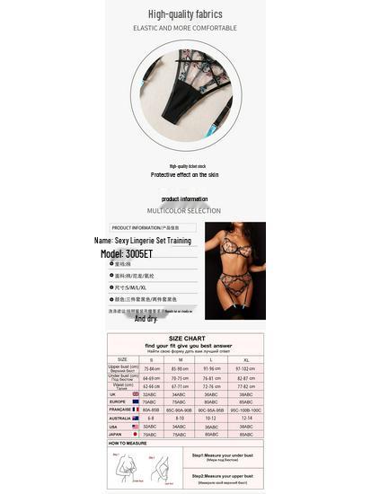 Lace Embroidery Lingerie: Sexy Transparent Push-up Bra & Three-Piece Set