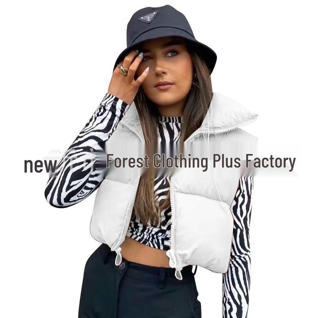 Women's Stand-Up Collar Zipper Vest: Warm Sleeveless Cotton Jacket for Autumn/Winter - Multi-Color Available