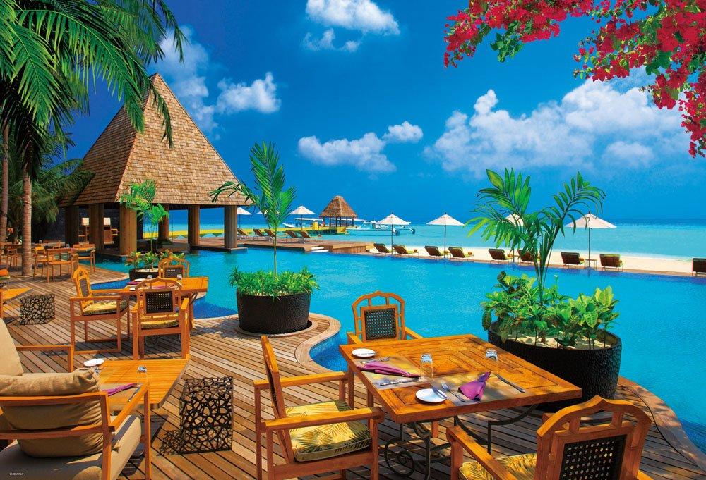 

1000 Piece Jigsaw Puzzle Overseas Landscape Beachside Branch (49x72cm)
