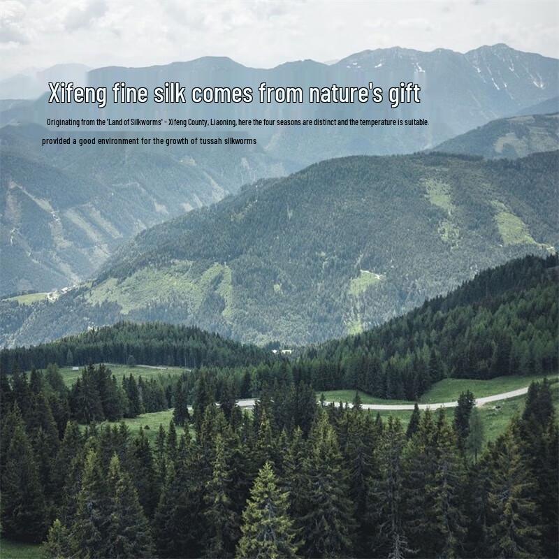 Mercury Home Textiles Tussah-Seidendecke