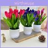 Tulip Potted Miniature Flower Simulated Potted Plant For Celebrations Home Prop