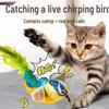 Interactive Cat Teaser Toy with Bird Sounds - Self-Play Energy Expender for Kittens