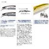 Shimano Bantam World Minnow 115SP Flash Boost 012 Chart Head ZQ-K11T (Bass Fishing)