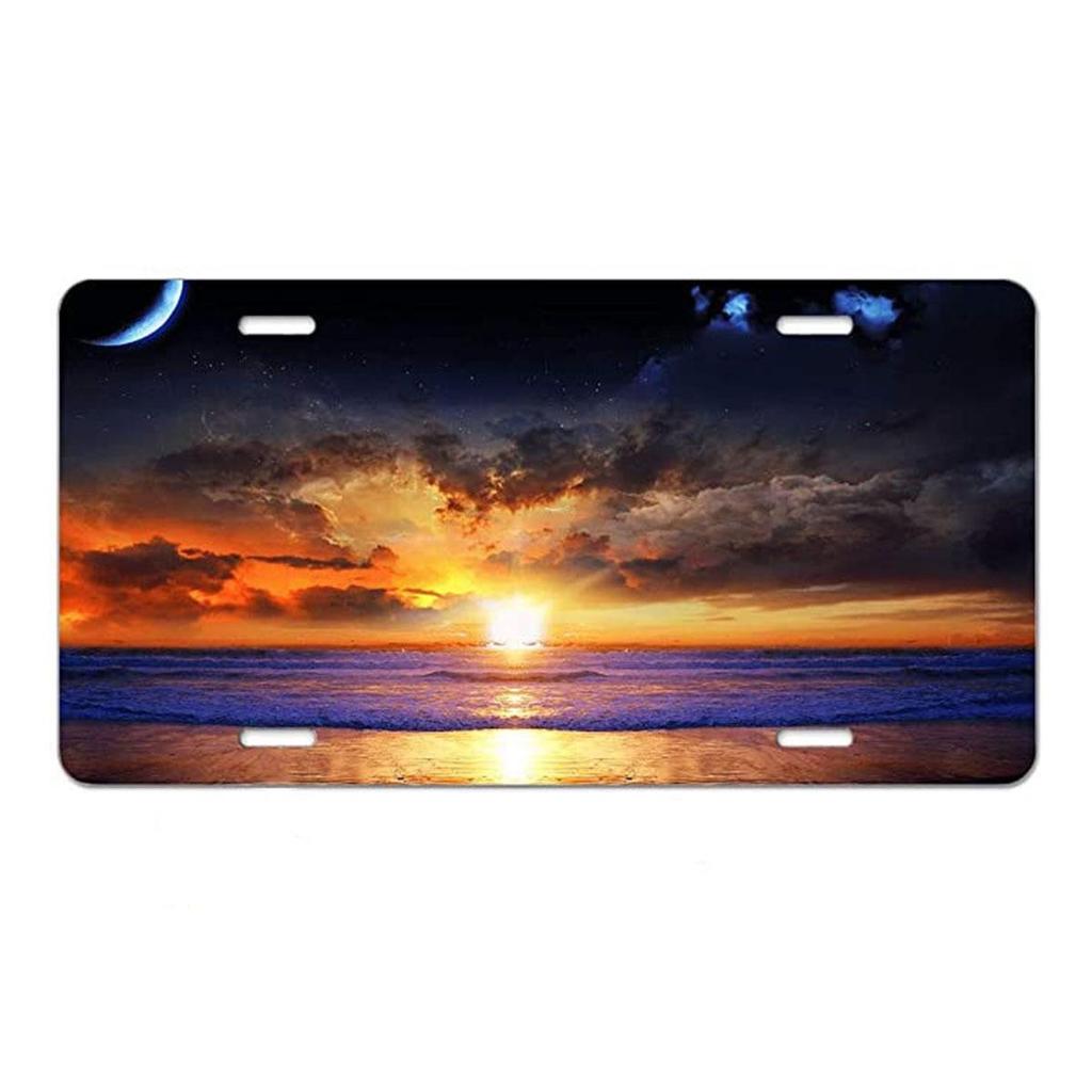 Sublimation Printed US Standard License Plate Metal Sign, 12x6 Inches, Hot-Selling Design
