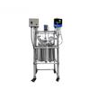 Rongyu SMT SS316 Double-Layer Lab Reactor