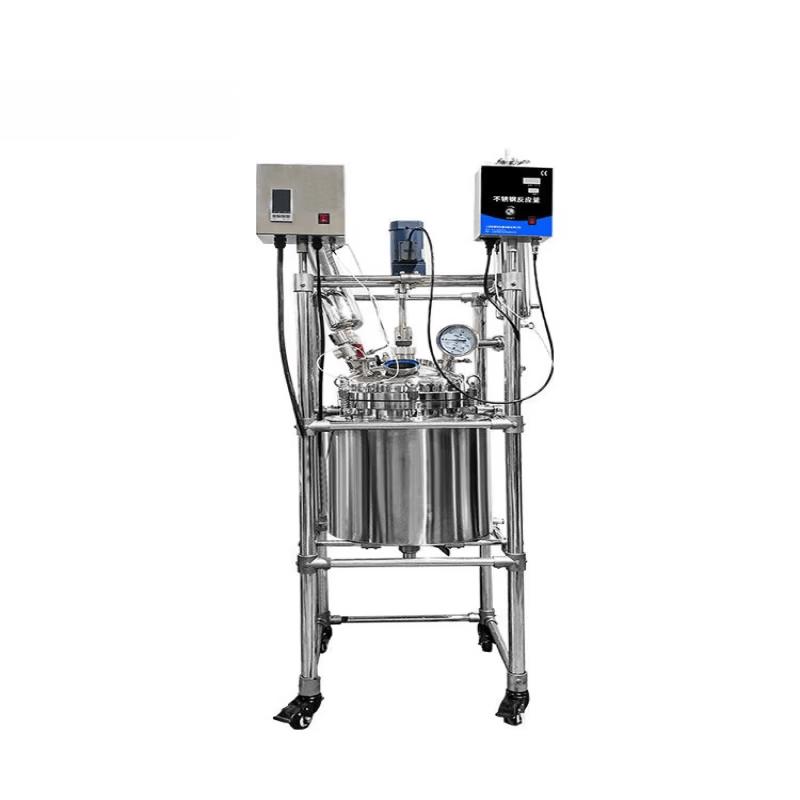 Rongyu SMT SS316 Double-Layer Lab Reactor