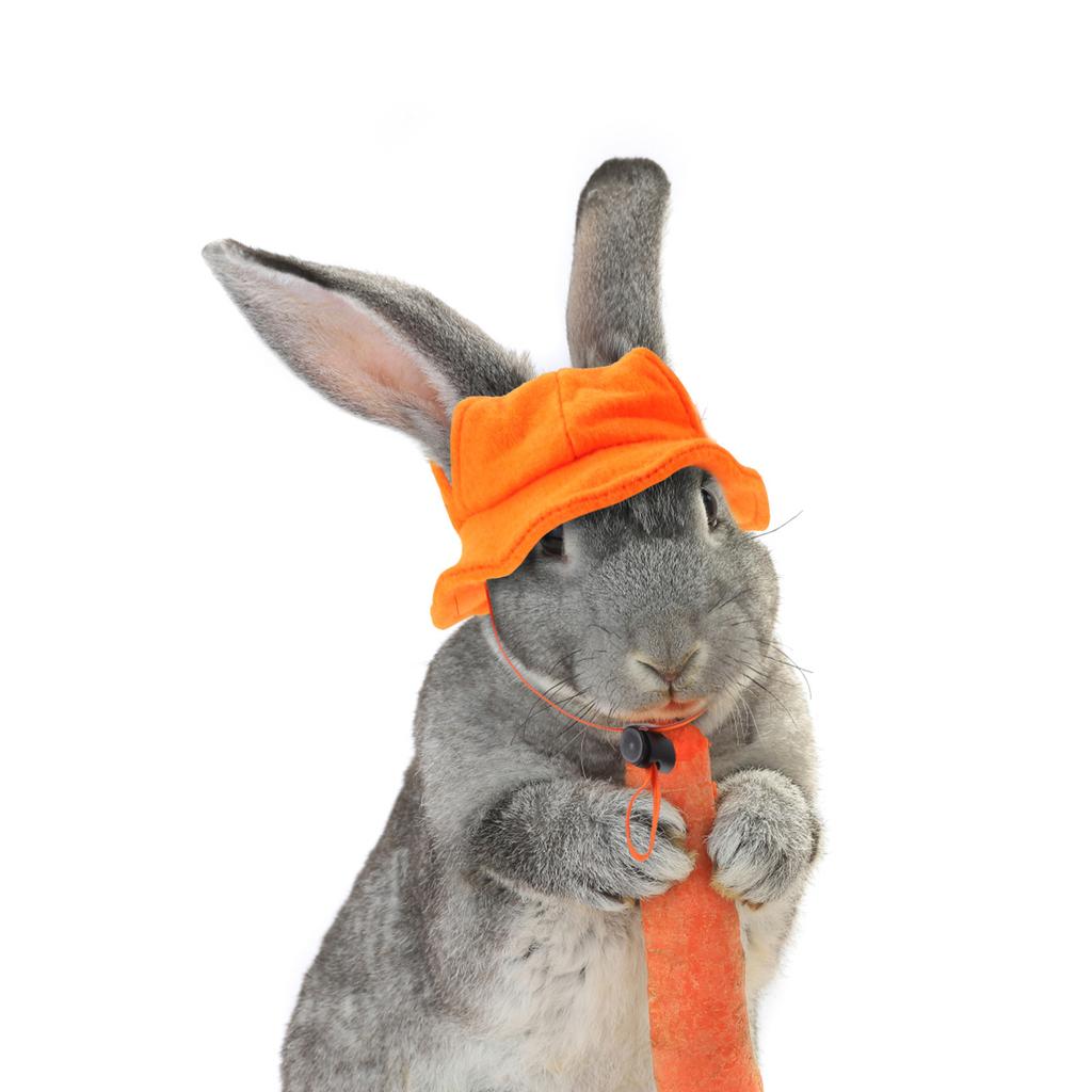 1pcs Pet Yellow Hat Soft Felt Bunny Hat For Guinea Pig Hamster Rabbit Party Decoration Head Cover Pet Costume