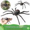 Realistic Insect and Spider Model Children's Cognitive Toy