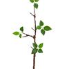 Indoor Artificial Green Plant Bouquet for Living Room and Dining Table Decoration