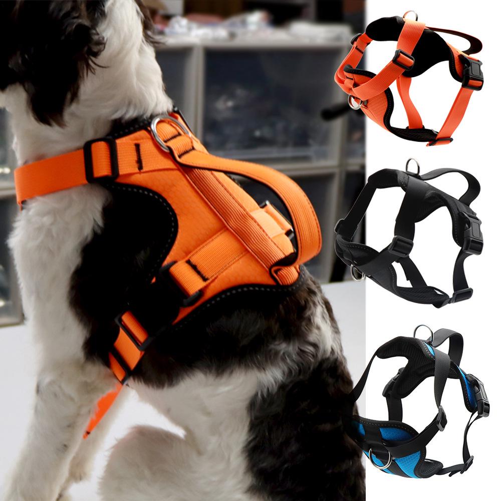 Patterned Webbing Dog Leash - Printed Pet Rope