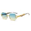 Leopard Head Frameless Polygonal Sunglasses for Men Women Unique Irregular Cut Edge UV Protection Stylish Shades