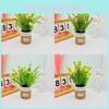 Potted Bellis Perennis Plant Linen Flower Pot For Hotel Dining Room Decoration