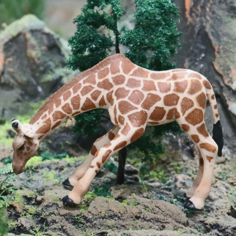 Giraffe Model Educational Toy for Kids' Science Learning