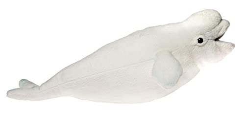 BH6626 HANSA Beluga 42