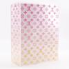 Louis Vuitton Sunglasses Case Other Accessories Monogram Gradient Collector's Box Pink Acrylic _ Used