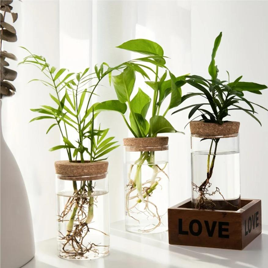 1pc, Hydroponics Plants Desktop Glass Planter Vase For Home Decoration, Plant Propagation Station Bud Vase, Desktop Hydroponics