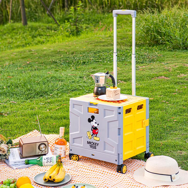 Xiaomengge 18-inch Folding Trolley Storage Case