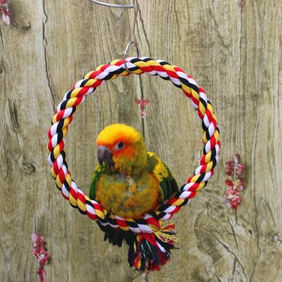 Runder Aufhängring Kletterfest Beißfest Baumwollseil Schaukelspielzeug für Haustiervogel Papagei