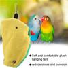 Parrot Hammock, Reduce Stress Bird Happy Tent, Bird Hammock, Finches Macaws Cockatiels for Small Parakeets