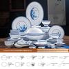Jingdezhen Blue & White Porcelain Dinnerware Set