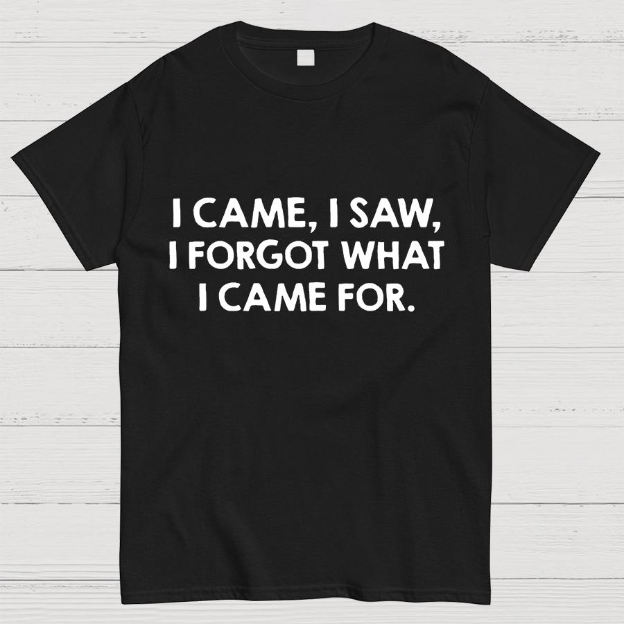 I Came and Saw Funny Geeky T-Shirt