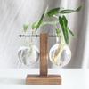Creative Wooden Frame Hydroponic Vase with Glass Container for Desktop Decoration