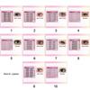 6 Rows Self Adhesive Eyelashes No Glue Individual Lashes High Quality Soft Idol Lash Clusters