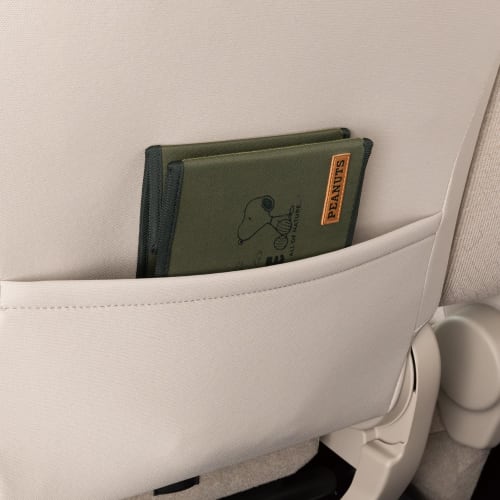 BONFORM Snoopy Nature Folding Multi Box Green Storage PEANUTS SNOOPY 7242-44GN