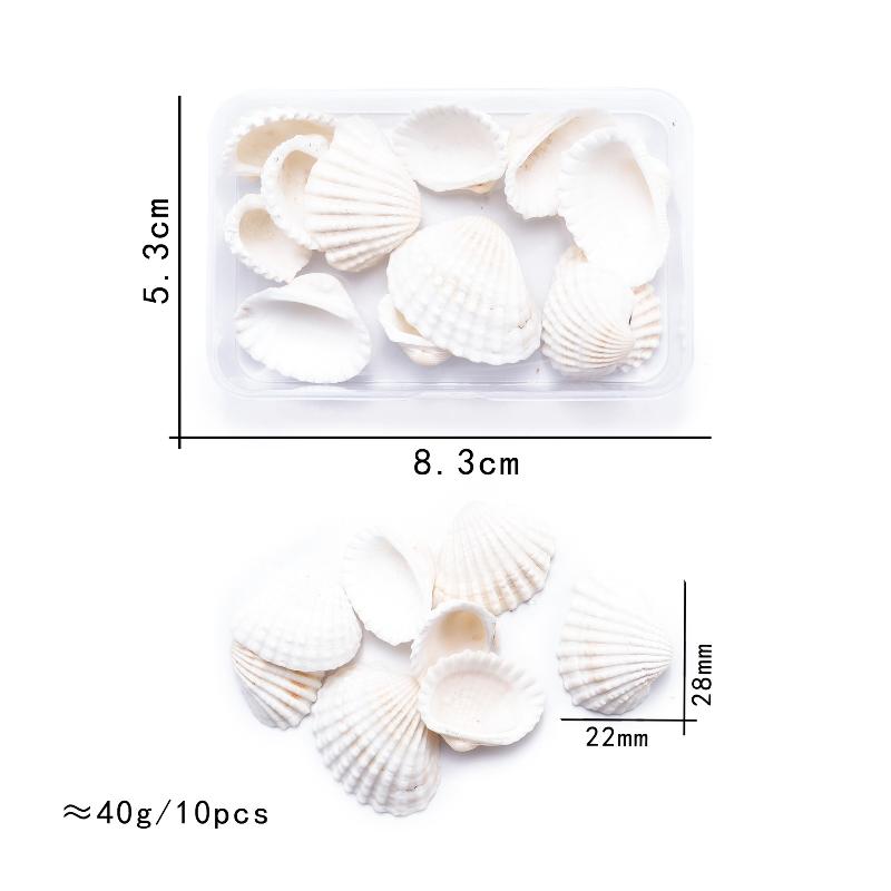 

1 Коробка Морские Ракушки Спиральные Ракушки Крошечные Океанские Спиральные Морские Ракушки Поделки Украшение для Аквариума Ландшафтные Аксессуары Реквизит для Фотографии