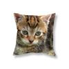 Cute Kitten Throw Pillowcase Sofa Party Decoration Office Game Chair Cushion Cover Room Bedside Home Decor Pillowcase 45x45cm