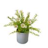 Flower Display Fake Wildflowers Artificial Flower Potted Plastic Lifelike Fake Greenery Artificial Daisy Bonsai Party Decoration