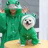 Cartoon Dog Raincoat with Hood Funny Shape Adjustable 3D Frog Pet Poncho Full-Coverage Transparent Hat Four Legs Dog Costume