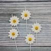 New Products Ins Fresh Little Daisy Sunflower Flowers Birthday Candles Children's Party Cake Decoration Candles
