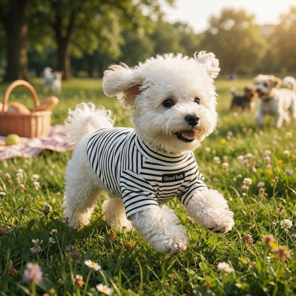 Soft Dog Thermal Shirt High Collar Striped Sweatshirt Pet Warm Sweater  Cold Weather